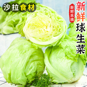 球生菜新鲜西生菜西汉堡包专用生菜球 沙拉蔬菜食材球形生菜 包邮