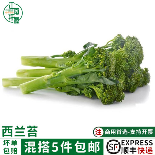 西兰苔新鲜蔬菜手指西兰花