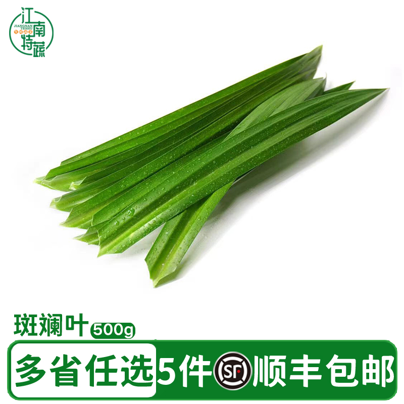 香兰叶新鲜食用斑兰叶