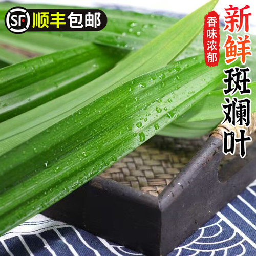 斑斓叶新鲜香兰叶可食用烘焙千层蛋糕芒果糯米饭调味糕点食材原料
