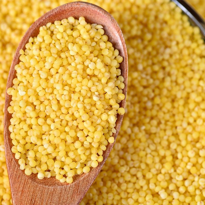 大黄米山西繁峙大黄米黍子米