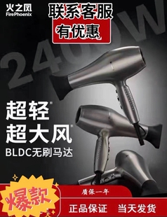 火之凤吹风机5610H风筒电吹风发型师专用风力速干造型发廊W大功率