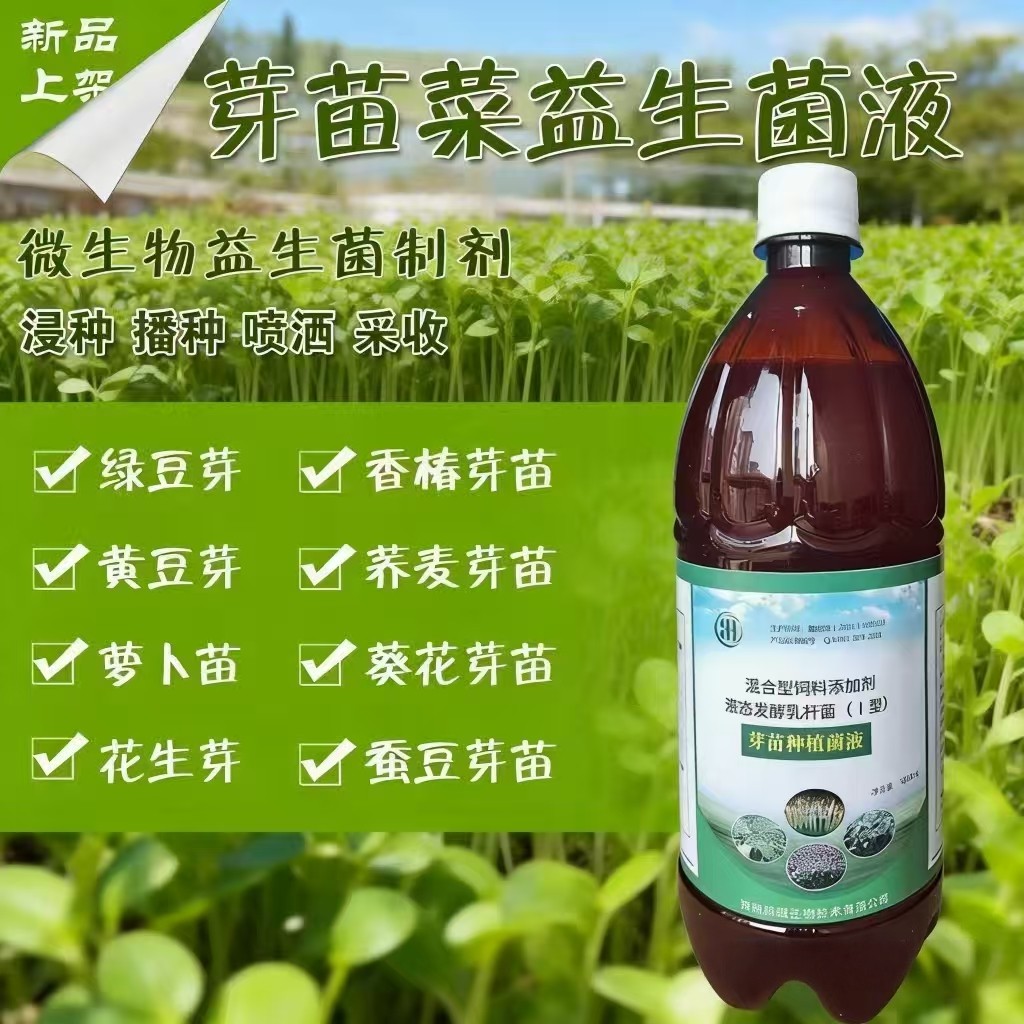 芽苗菜益生EM菌液水培花生芽育苗图片