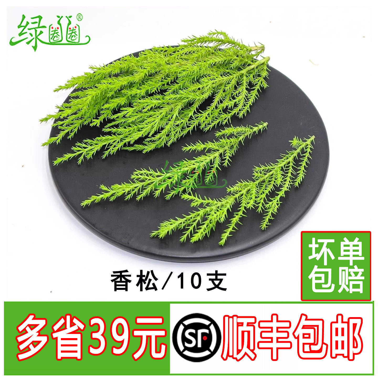新鲜花草 香松 酒店料理饭店花草合集 摆盘冷艺冷盘点缀装饰