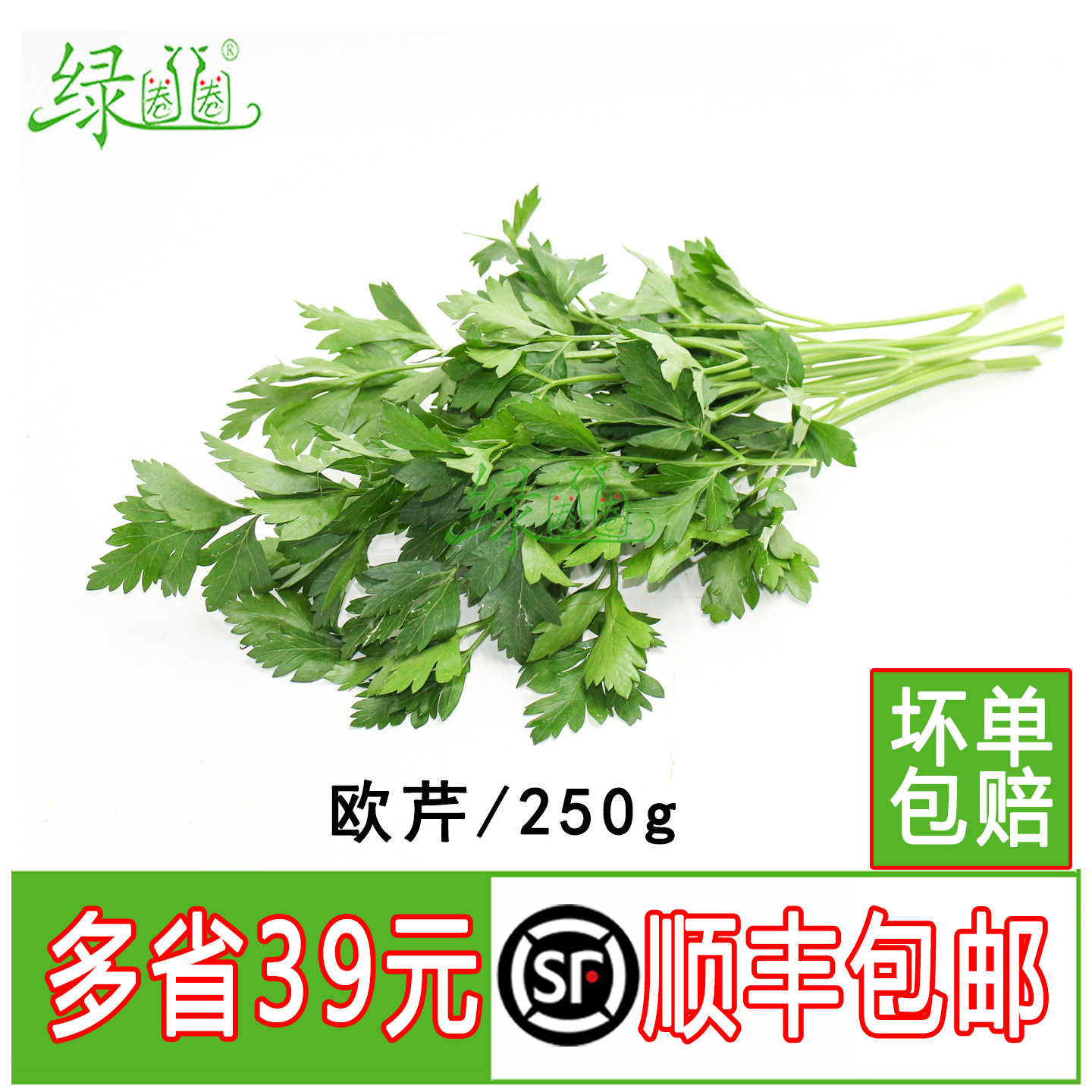 新鲜蔬菜意大利芹 欧芹 芹法国香菜 巴西里香料 西餐食材