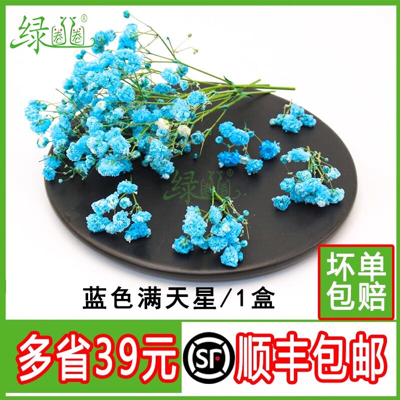 满天星鲜花蓝色日料西餐装饰图片