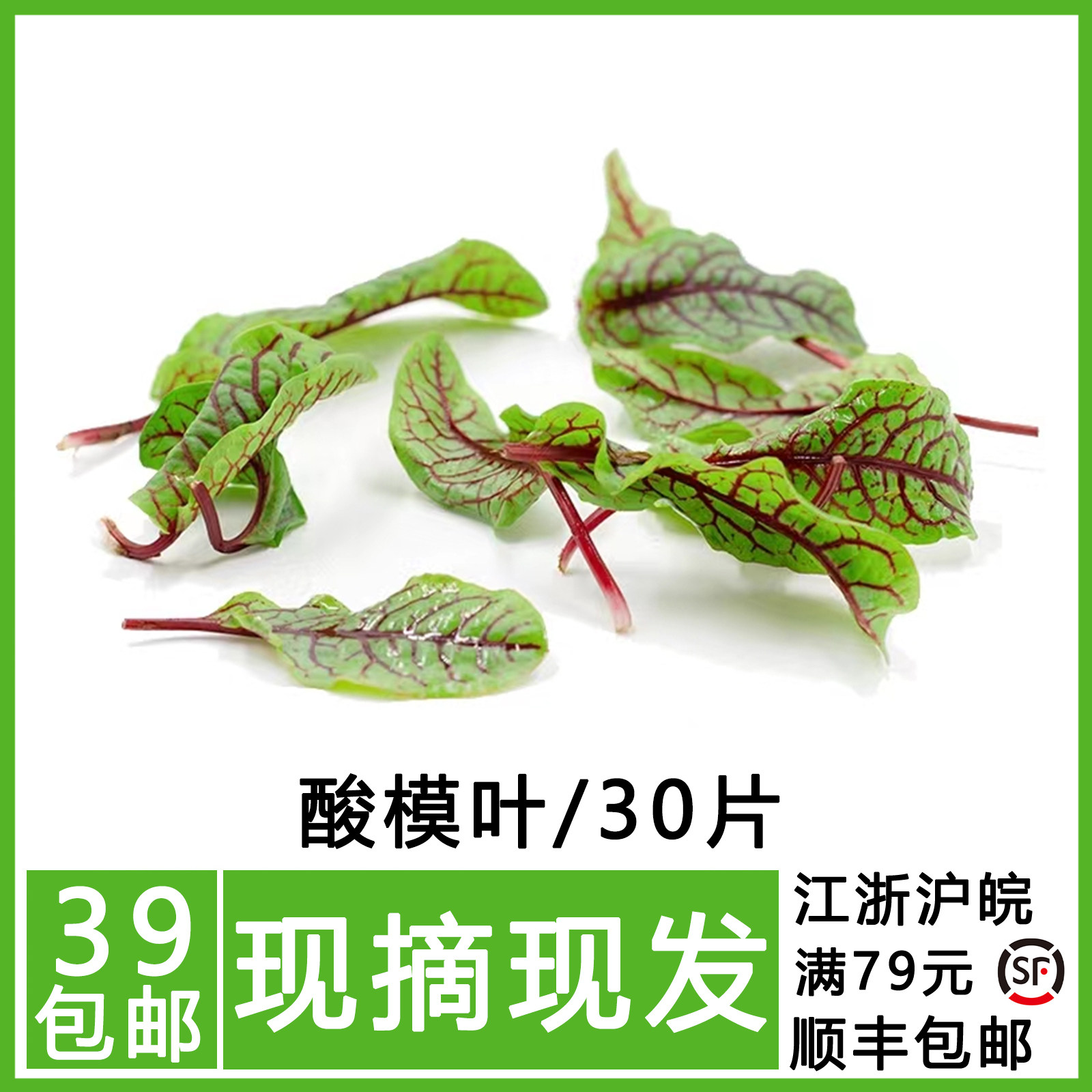 新鲜 红脉酸膜叶 酸模叶 红酸模草酢浆草食用花酒店摆盘装饰点缀