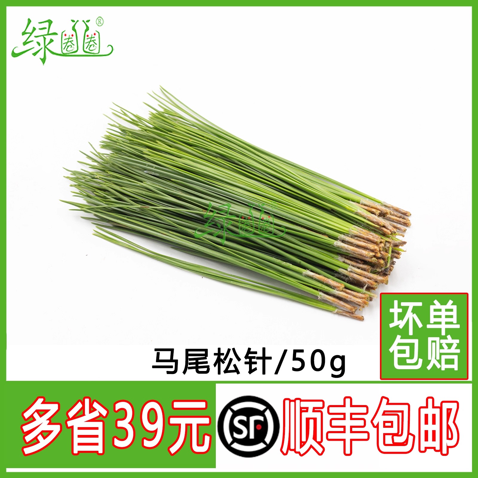 新鲜松针50g西餐摆盘装饰