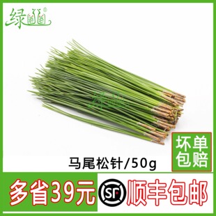 新鲜 细松针 马尾松针  绿松针 西餐摆盘装饰非蓬莱松针50g