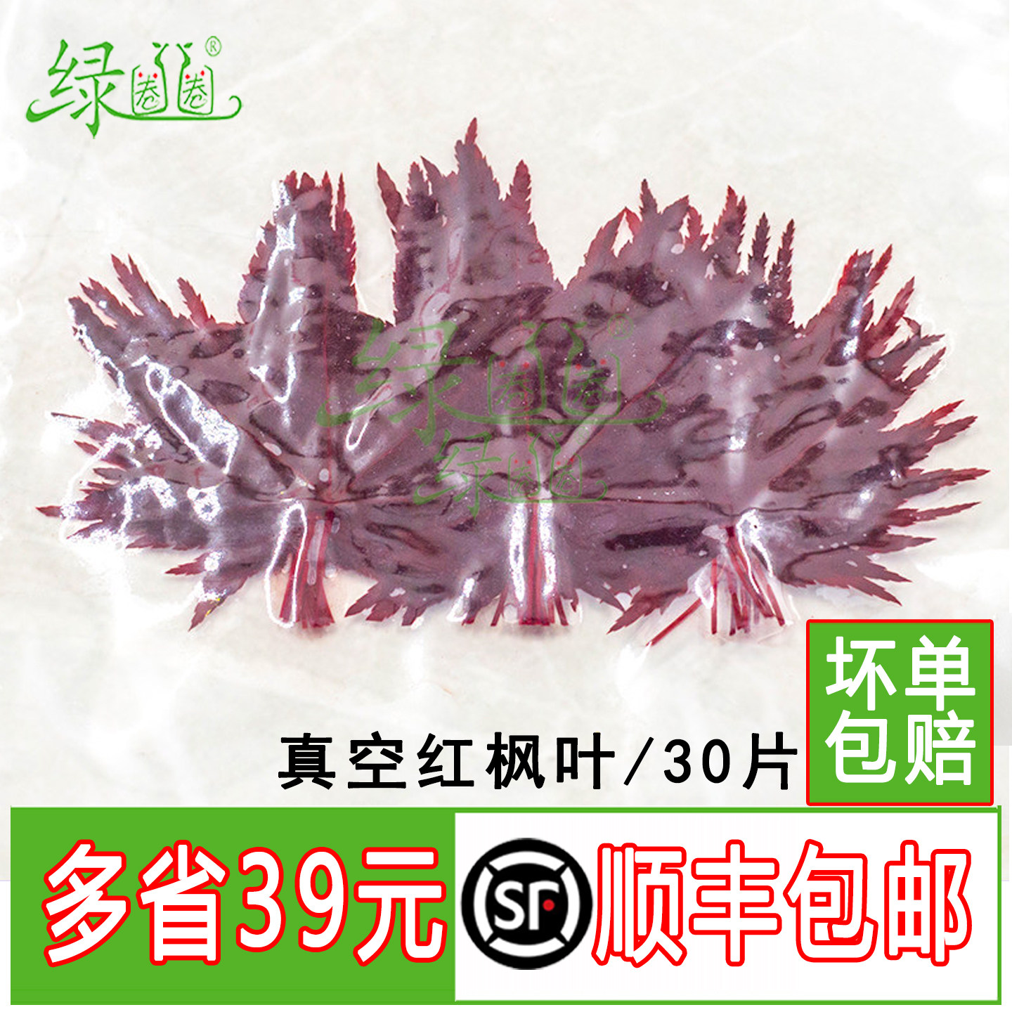 新鲜红枫叶真空枫叶摆盘装饰图片