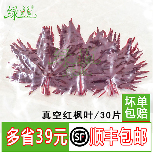 新鲜红枫叶真空枫叶摆盘装饰