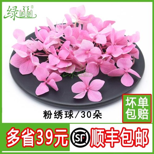 新鲜绣球花粉绣球烘焙装饰点缀