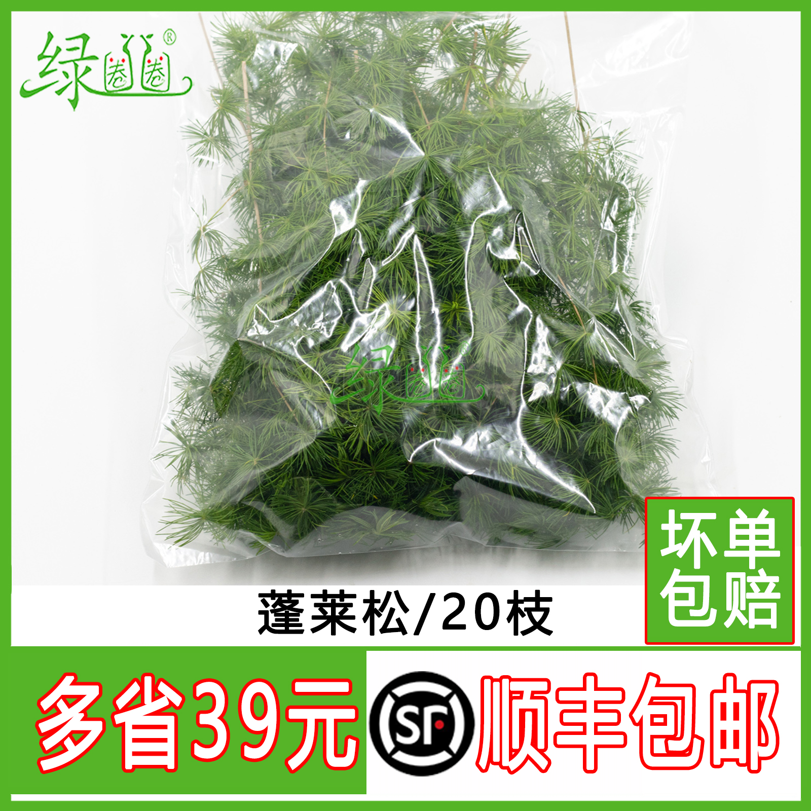 松针绿松针酒店西餐冷菜摆盘