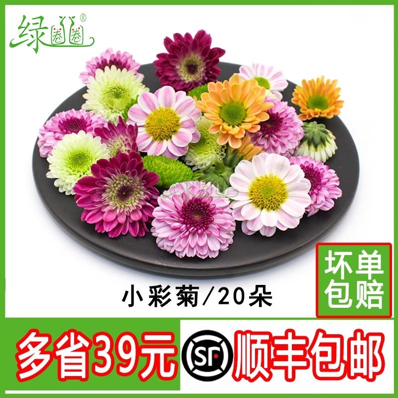 新鲜彩菊 小雏菊 鲜花 小菊花 20朵 酒店冷菜摆盘装饰点缀