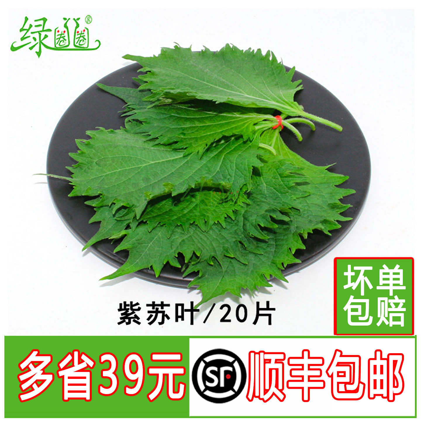 紫苏叶绿色新鲜苏子叶大叶韩国烧烤日本寿司料理刺身西餐摆盘