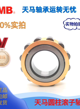 天马减速机偏心轴承RN305 306 308 310 212 218 222 226 228 M Z1