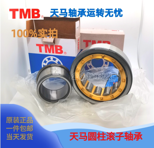 TMB天马NJ2338EMC3C4轴承