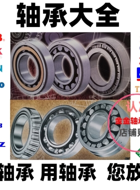 TWB TMB 汽车变速齿轮箱轴承NJ207E NUP307ENV NUP2209EN带卡簧槽