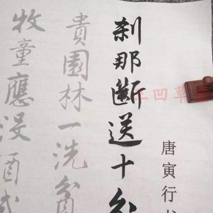 唐伯虎唐寅行书行草落花诗册毛笔书法描红字帖半生熟宣纸描红