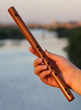 迷你短笛无膜小笛子初学横笛自学入门竹笛随身儿童小易学乐器古风