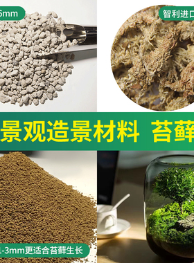 微景观diy材料苔藓土赤玉土进口干水苔轻石生态瓶材料赤玉土粉