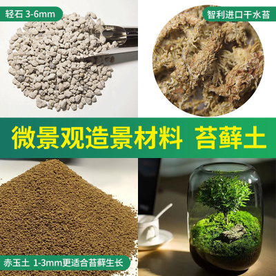 苔藓土微景观桌面植物造景生态瓶