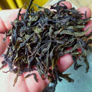 高山茶潮汕乌龙茶大坪土山茶诏安八仙茶福建高山茶金观音茶叶1斤