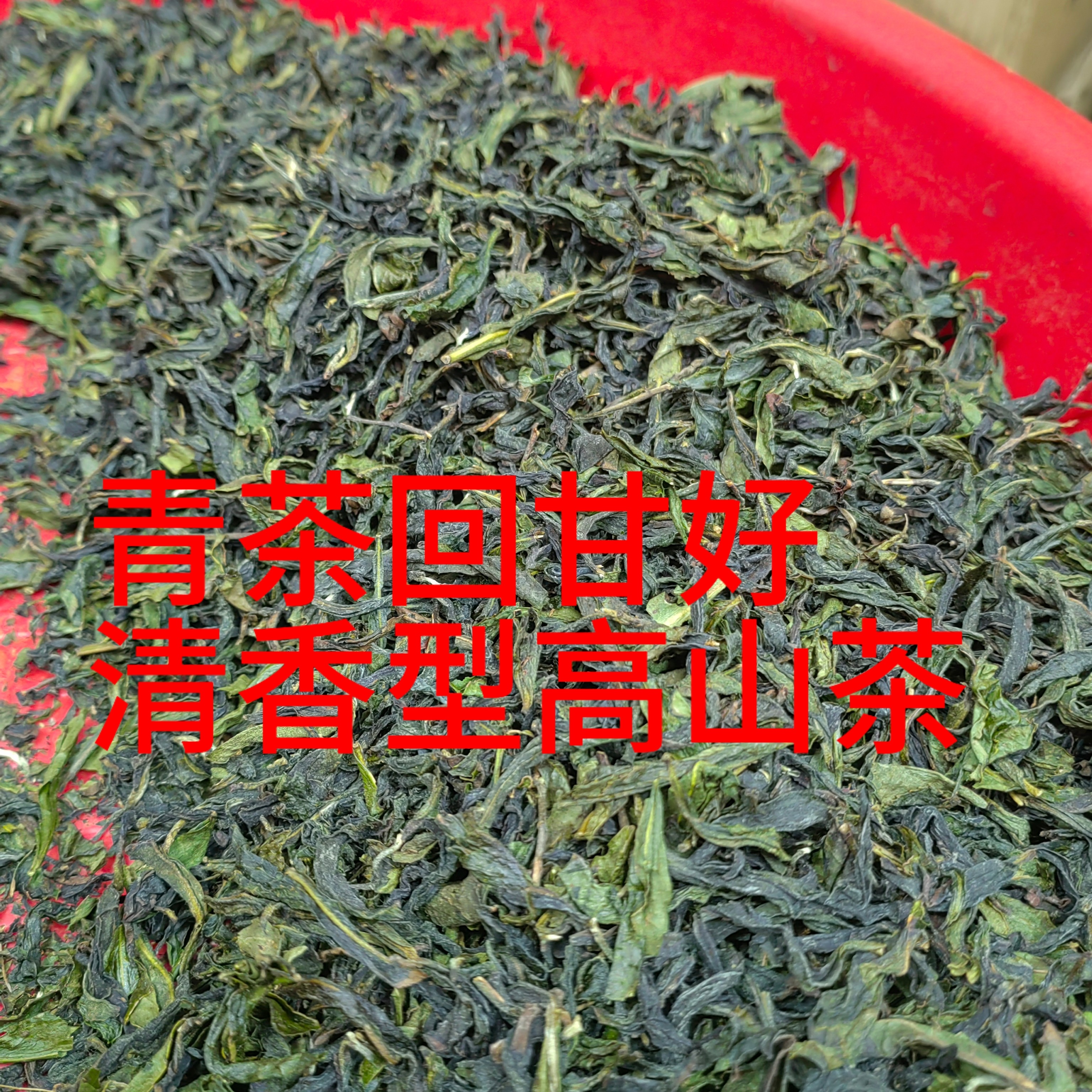 高山茶潮汕清香型高山茶福建土山茶乌龙茶叶500g青茶回甘好鲜气足