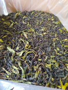 高山茶惠来土山茶潮汕八仙茶诏安八仙茶惠来高山茶八仙土山茶1斤