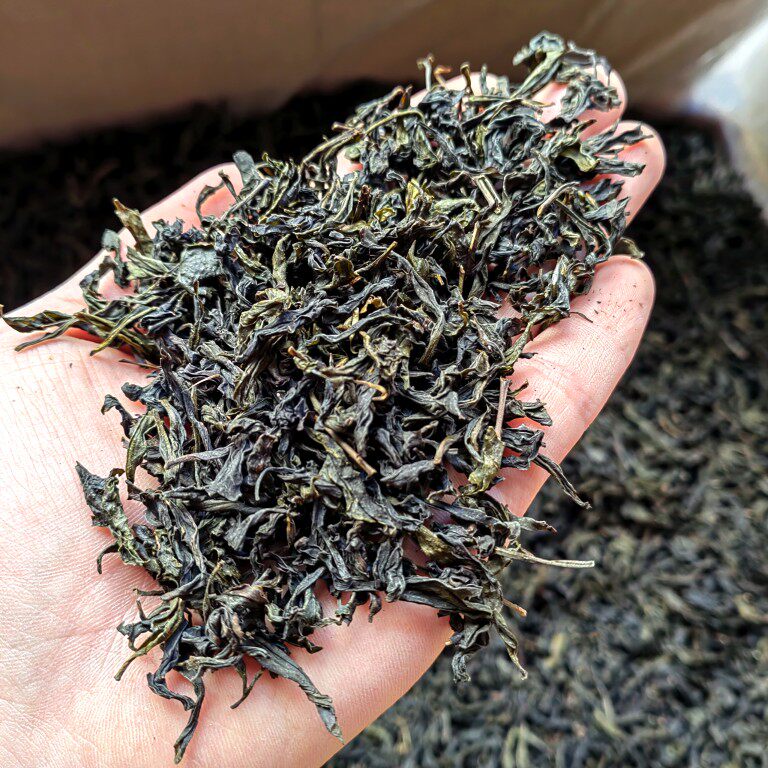 惠来高山茶土山茶潮汕浓香型茶芽心大坪土山茶福建乌龙茶1斤散装