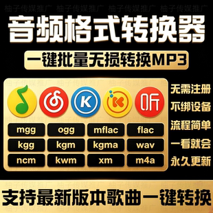 音频转换器音乐格式转换kgg mgg mflac ncm xm kwm kgma mp4转mp3