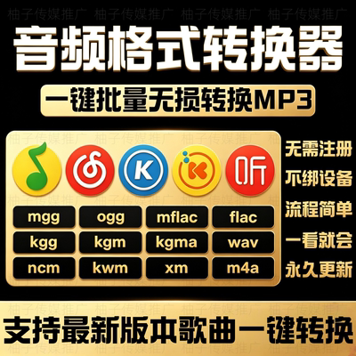 音乐格式转换音频转换器kgg mgg mflac ncm xm kwm kgma mp4转mp3