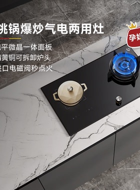 德国莱梅德电气两用双灶嵌入式电陶炉燃气灶一气一电灶煤气灶家用