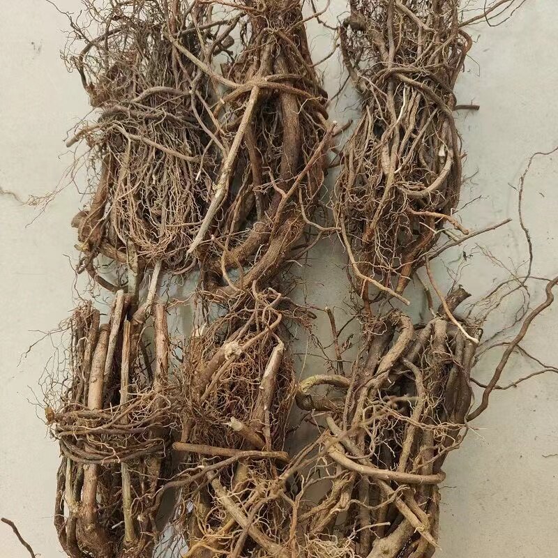 客家野生香藤根 春根藤煲汤 藤过山香香藤子根 满山香 炖汤食材