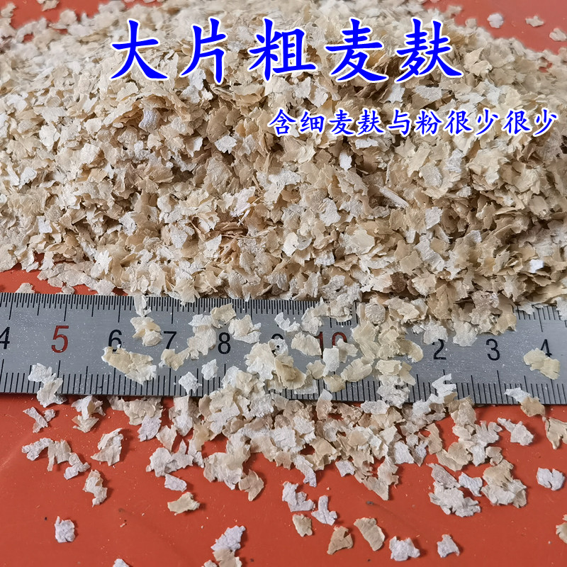 新鲜次粉纯小麦麸皮鸡鸭鹅黄粉虫面包虫粗细饲料原料钓鱼打窝饵料