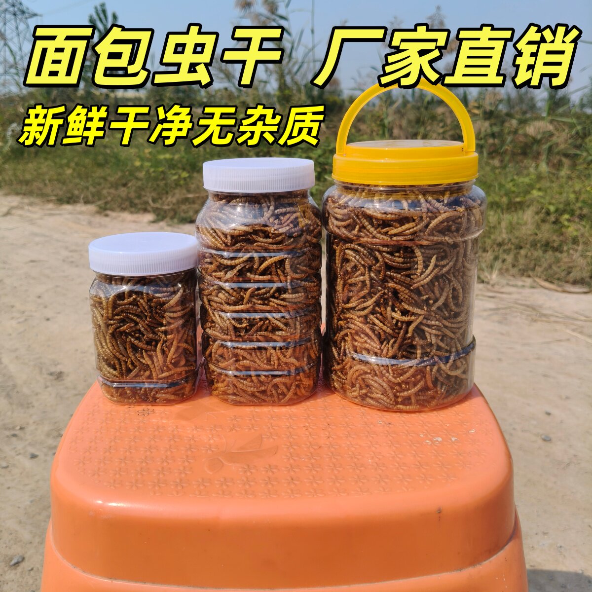 黄粉虫干虫粉面包虫干虫仓鼠粮食营养蛋白质金丝熊食物零食喂鸡鸭
