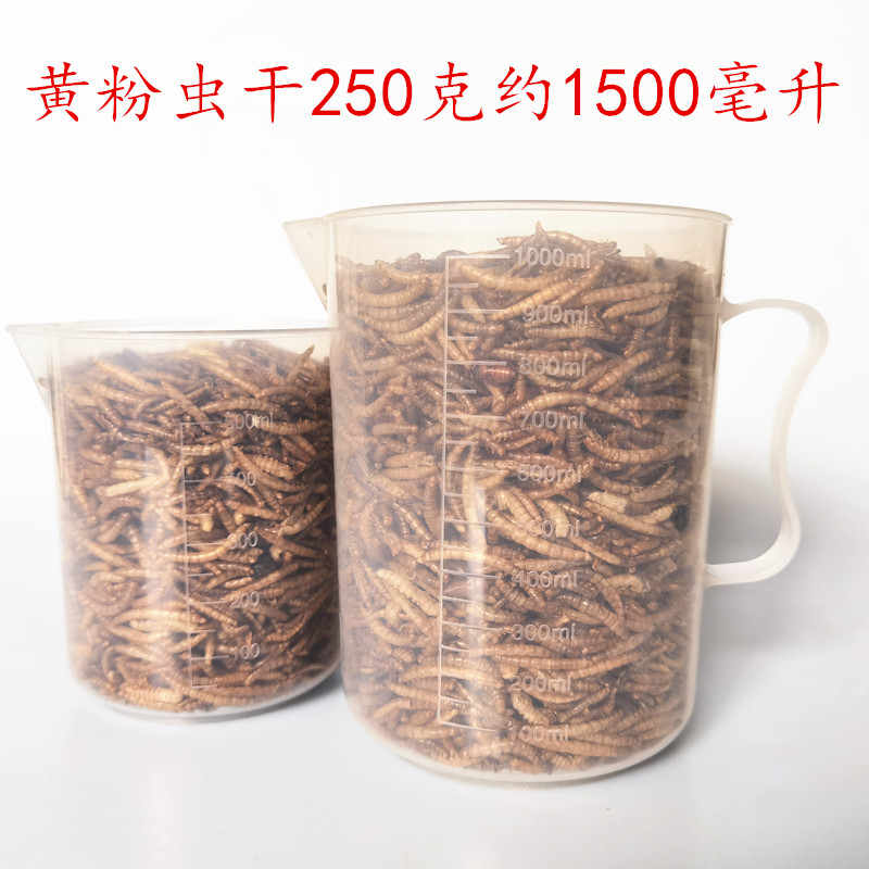 黄粉虫干虫粉面包虫干虫仓鼠粮食营养蛋白质金丝熊食物零食喂鸡鸭