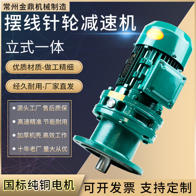 摆线针轮减速机立式减速机纯铜国标摆线针轮减速机电机一体减速机