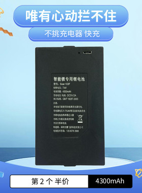 4300mAh智能锁专用锂电池 指纹锁电池 门锁电池 腾飞跃 Soar103F
