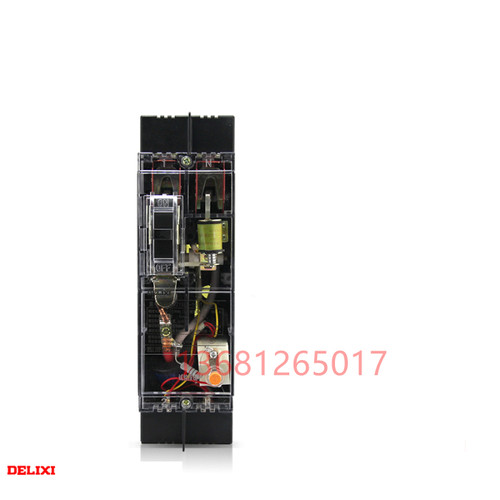 德力西 透明漏电断路器DZ15LE-100T/2901 100A 63A 透明漏电开关