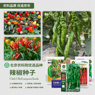农科院辣椒种子朝天椒螺丝椒牛角椒甜椒二荆条港椒小米辣蔬菜籽孑