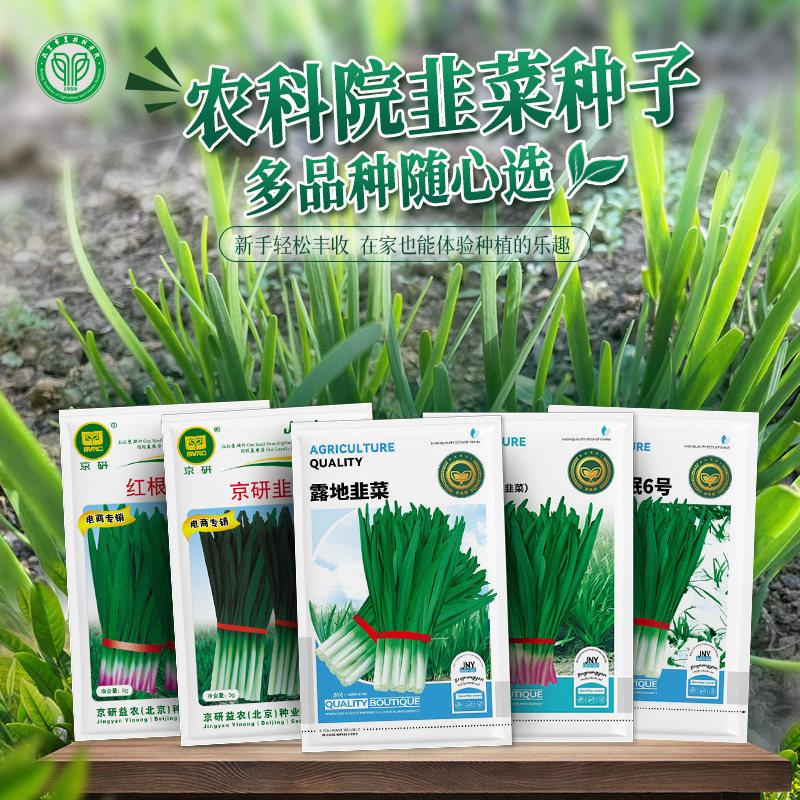 农科院韭菜种子白根宽叶独根红韭菜耐寒雪韭四季阳台盆栽蔬菜籽孑