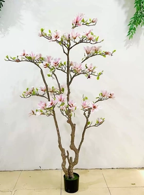 花饰界高端玉兰花树仿真绿植假树室内客厅仿生禄植盆栽落地装饰植