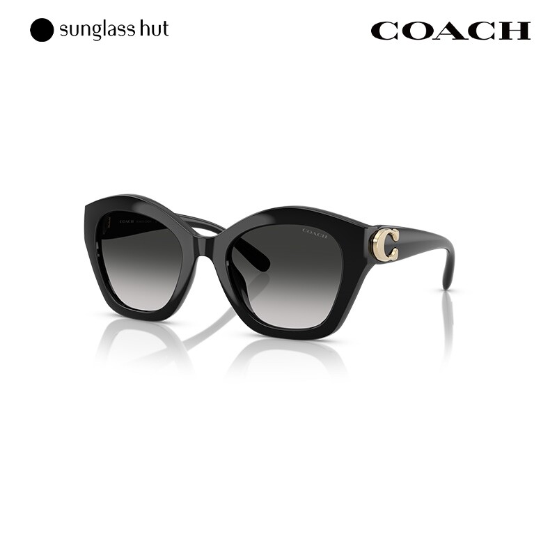 COACH/蔻驰时尚休闲百搭太阳眼镜女渐变偏光猫眼墨镜0HC8421U