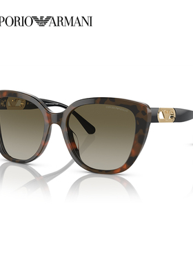 EMPORIO ARMANI 阿玛尼大框太阳眼镜女墨镜都市自由户外0EA4214U