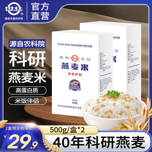 中国农科院作科所燕麦米五谷杂粮煮粥脱壳燕麦粒粗米燕麦饭类