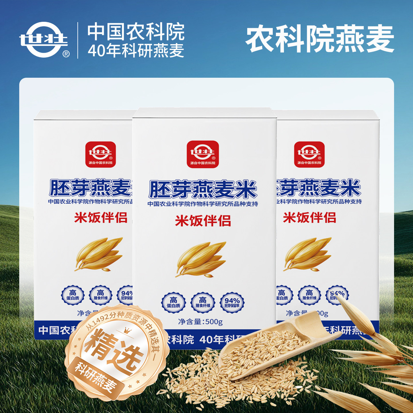 中国农科院世壮燕麦米五谷杂粮米煮粥脱壳燕麦粒粗米燕麦米类