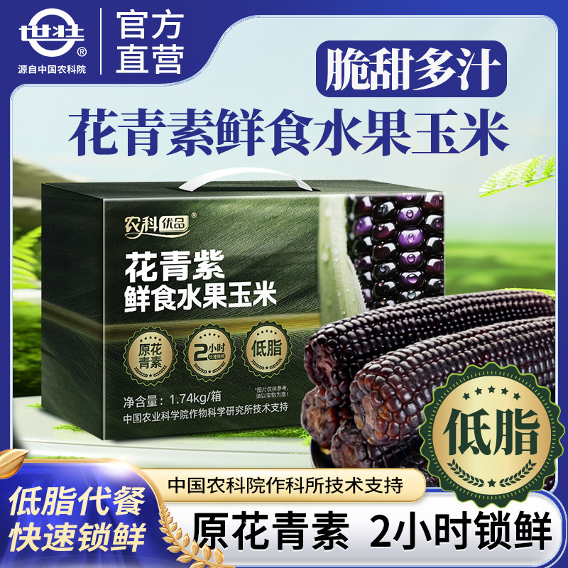 中国农科院花青紫玉米鲜食水果玉米紫色原花青素苞谷粗粮营养早餐