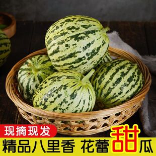 包邮 山东花美人头茬甜瓜当季 新鲜水果5斤脆瓜香瓜蜜瓜花蕾瓜整箱
