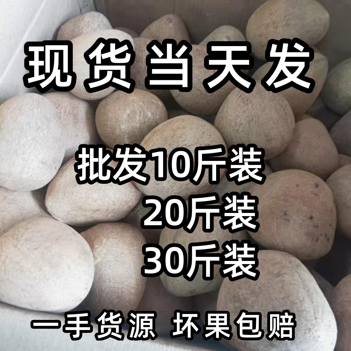 现货餐饮商用10斤20斤30斤印度椰子皇干海椰王炖鸡专用材料无汁香
